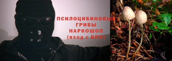 прущая мука Абаза