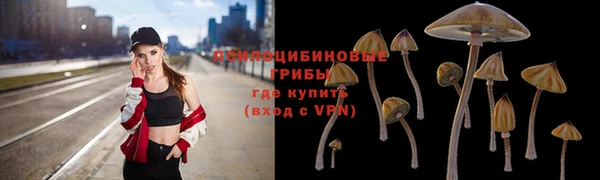 спайс Абинск