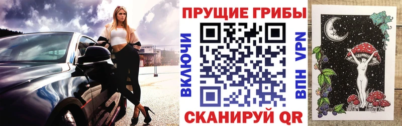 Галлюциногенные грибы Psilocybe  Тарко-Сале 